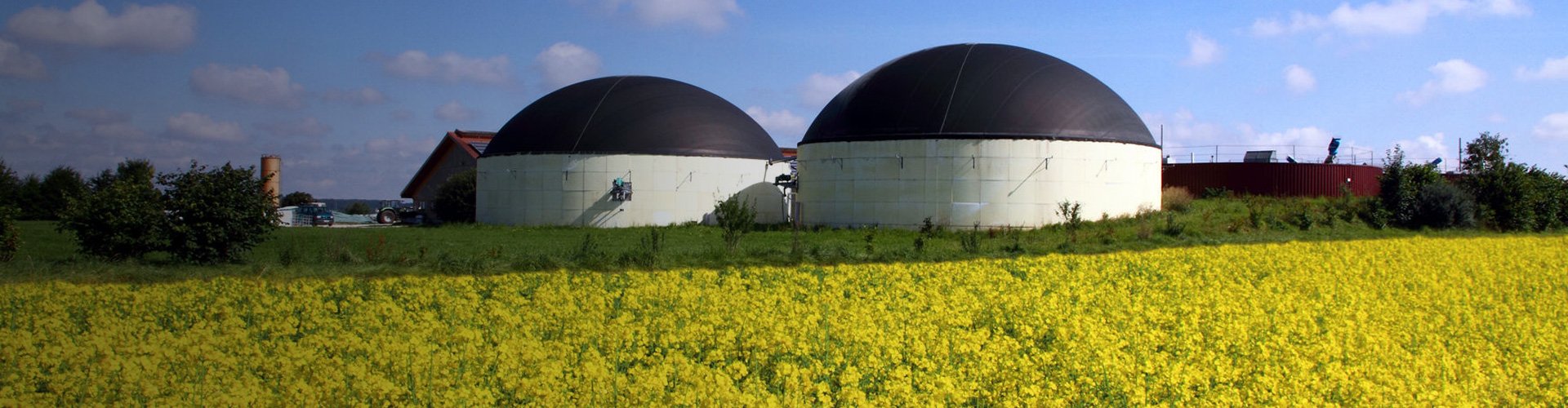 Biogas-RESinvestments